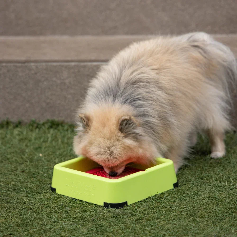 lickimat mini keeper spitz herbe