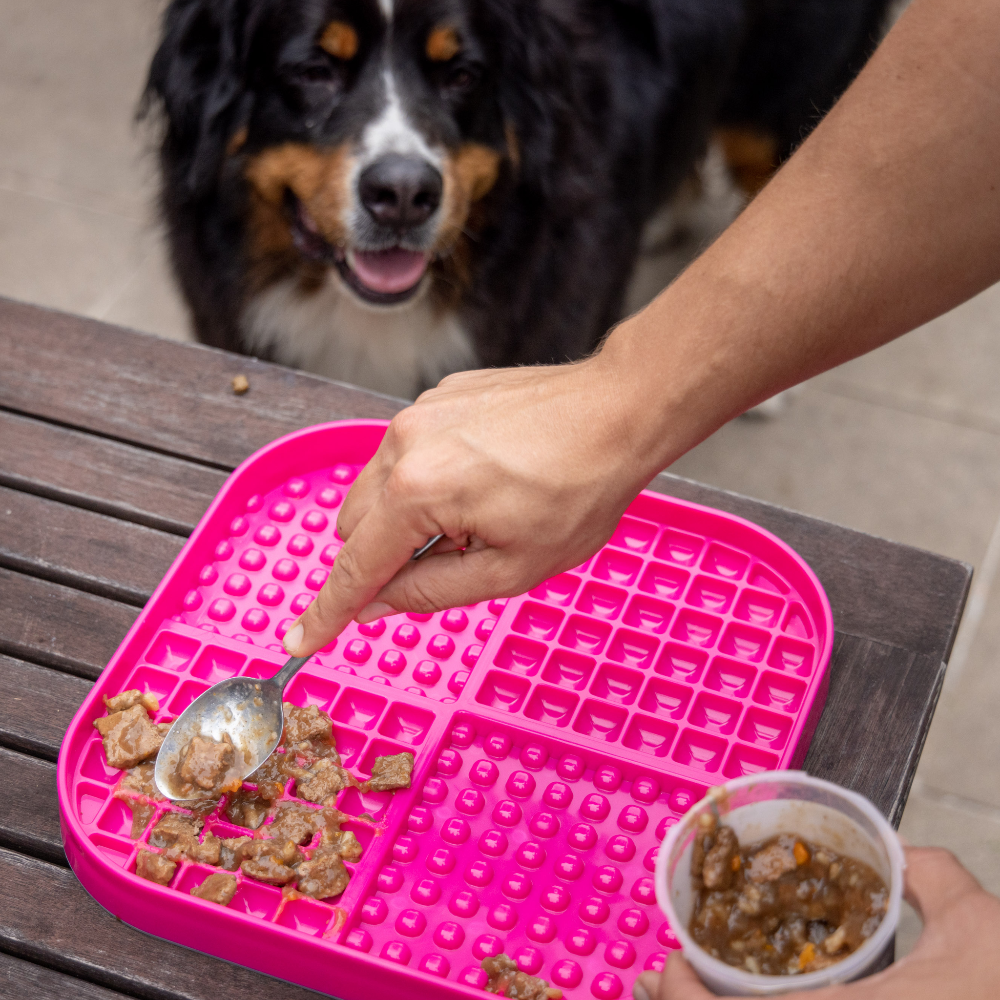 lickimat slomo pour chiens patee