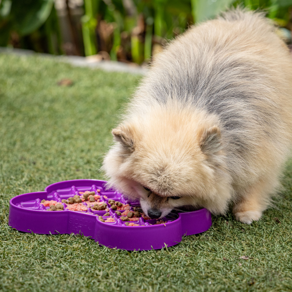 lickimat small slodog pour chiens spitz