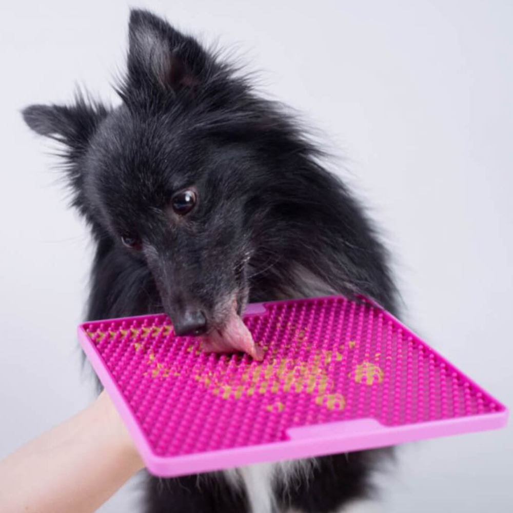 lickimat soother tuff pro pour chiens