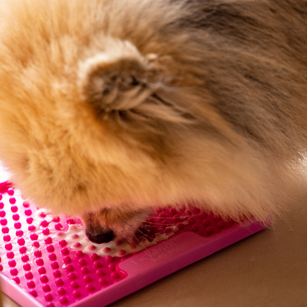 lickimat soother tuff rose spitz