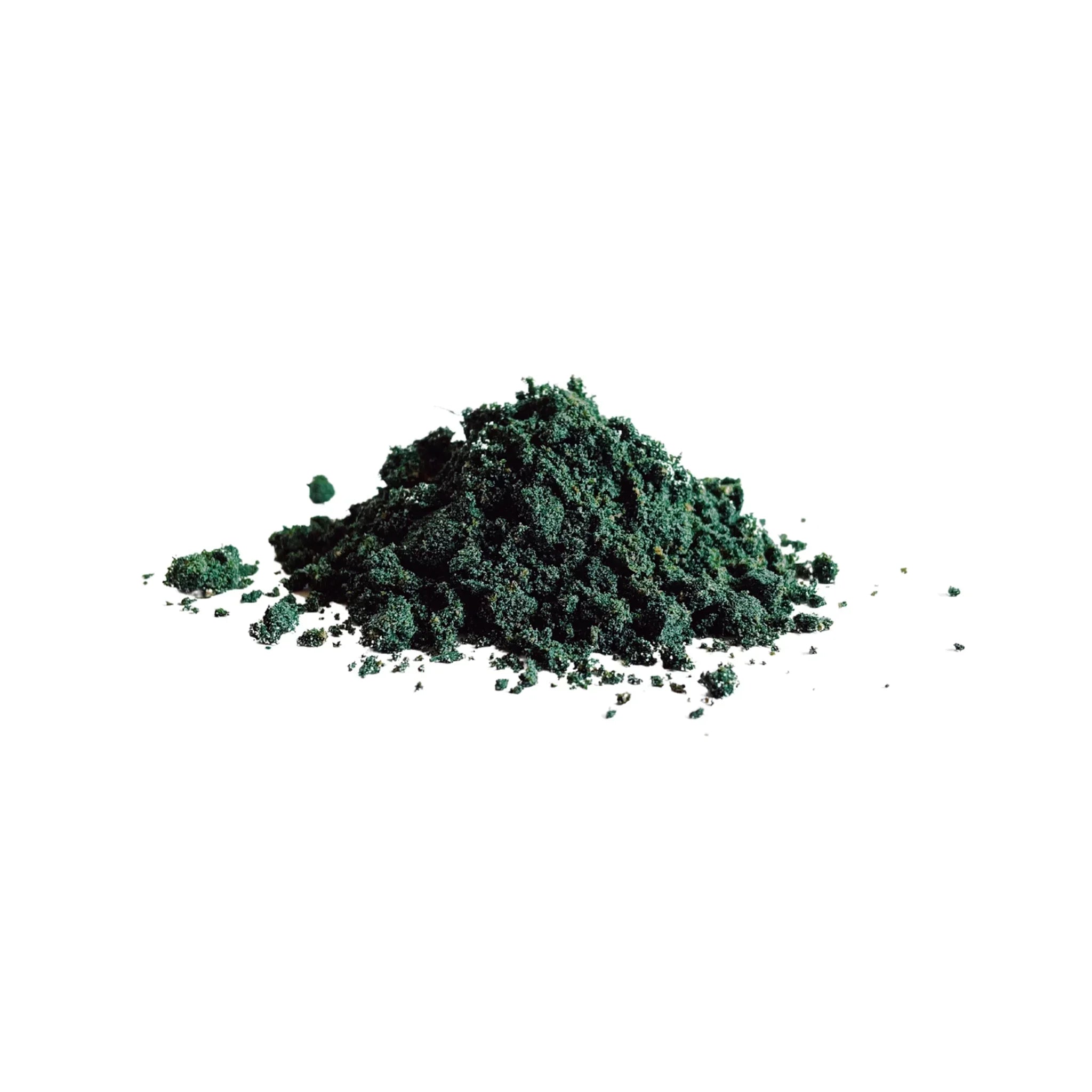 norm freakshake spiruline pour chiens