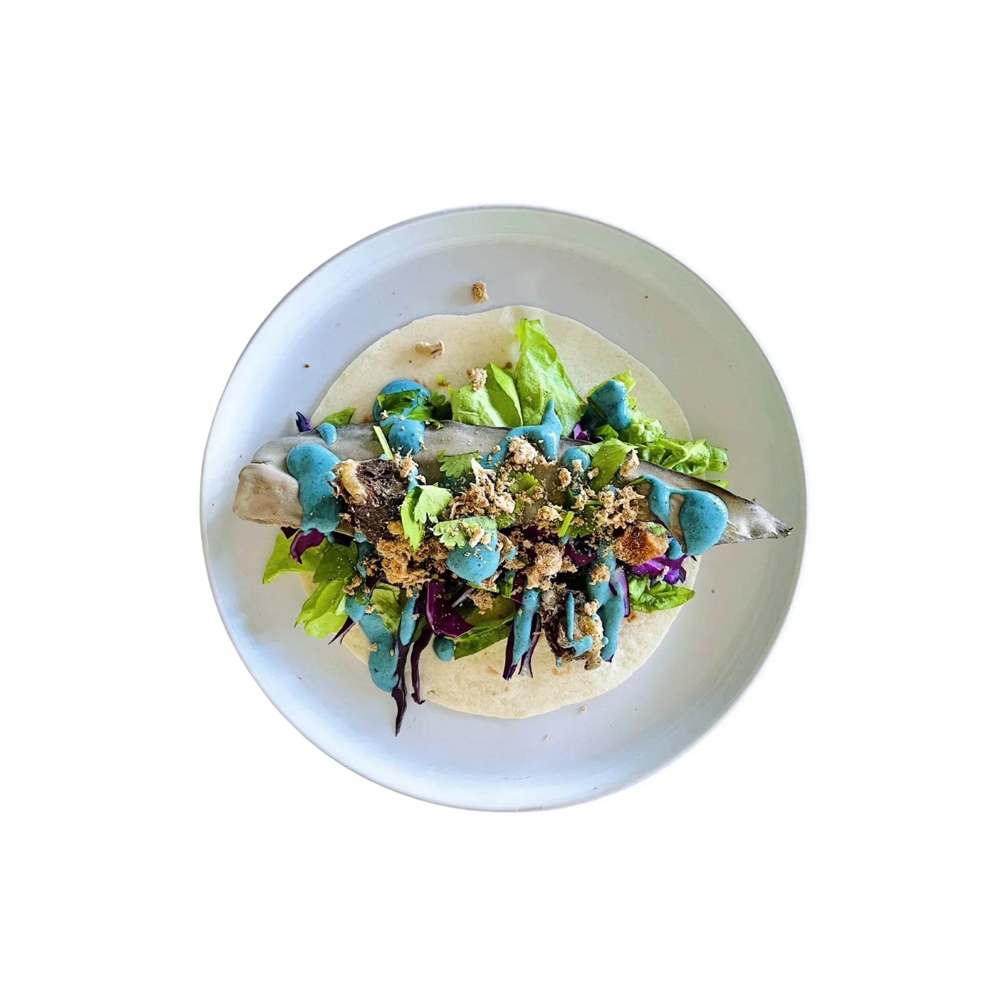 norm spiruline bleu