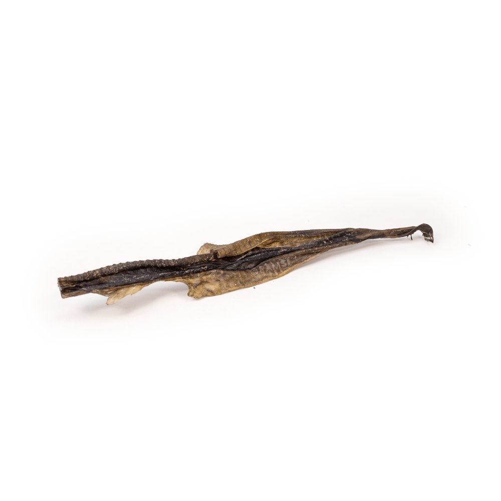 peaux de poisson pour chien