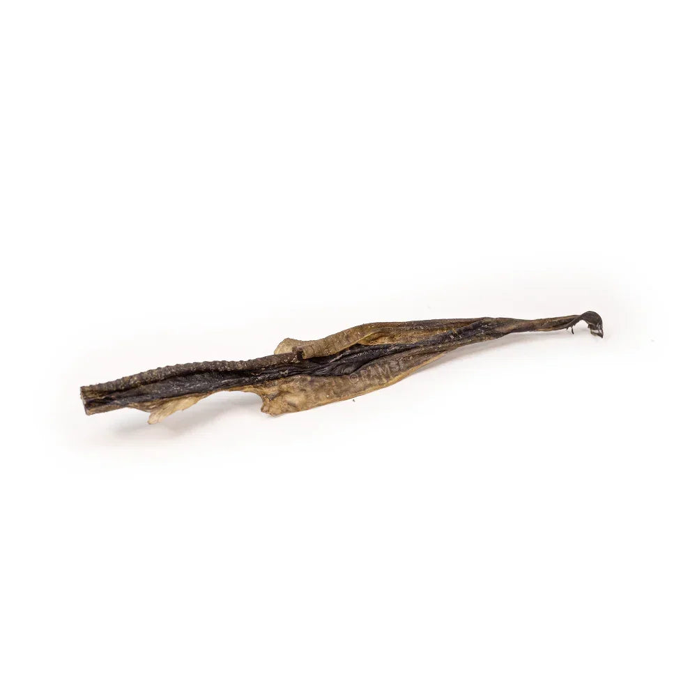 peaux de poisson pour chien