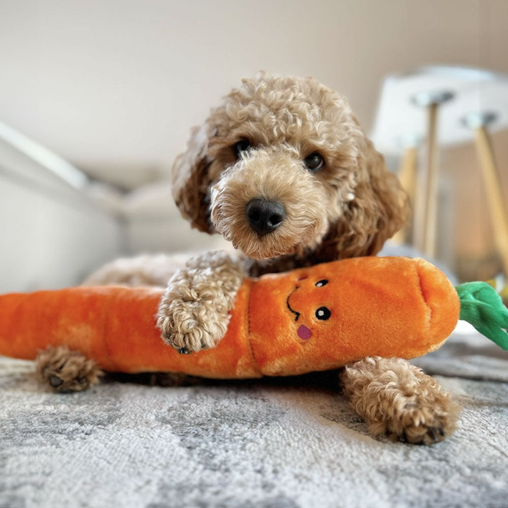 peluche carotte zippypaws jigglerz xxl