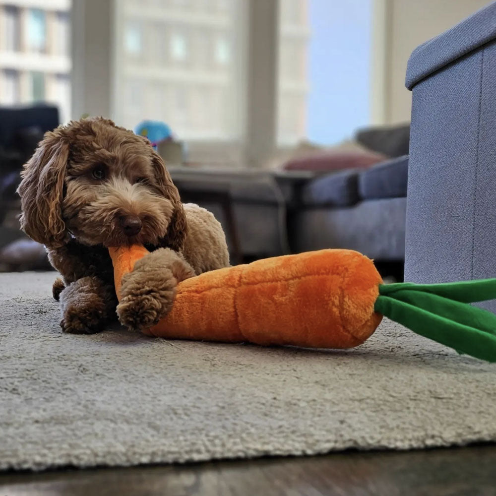 peluche pour chien carotte XXL