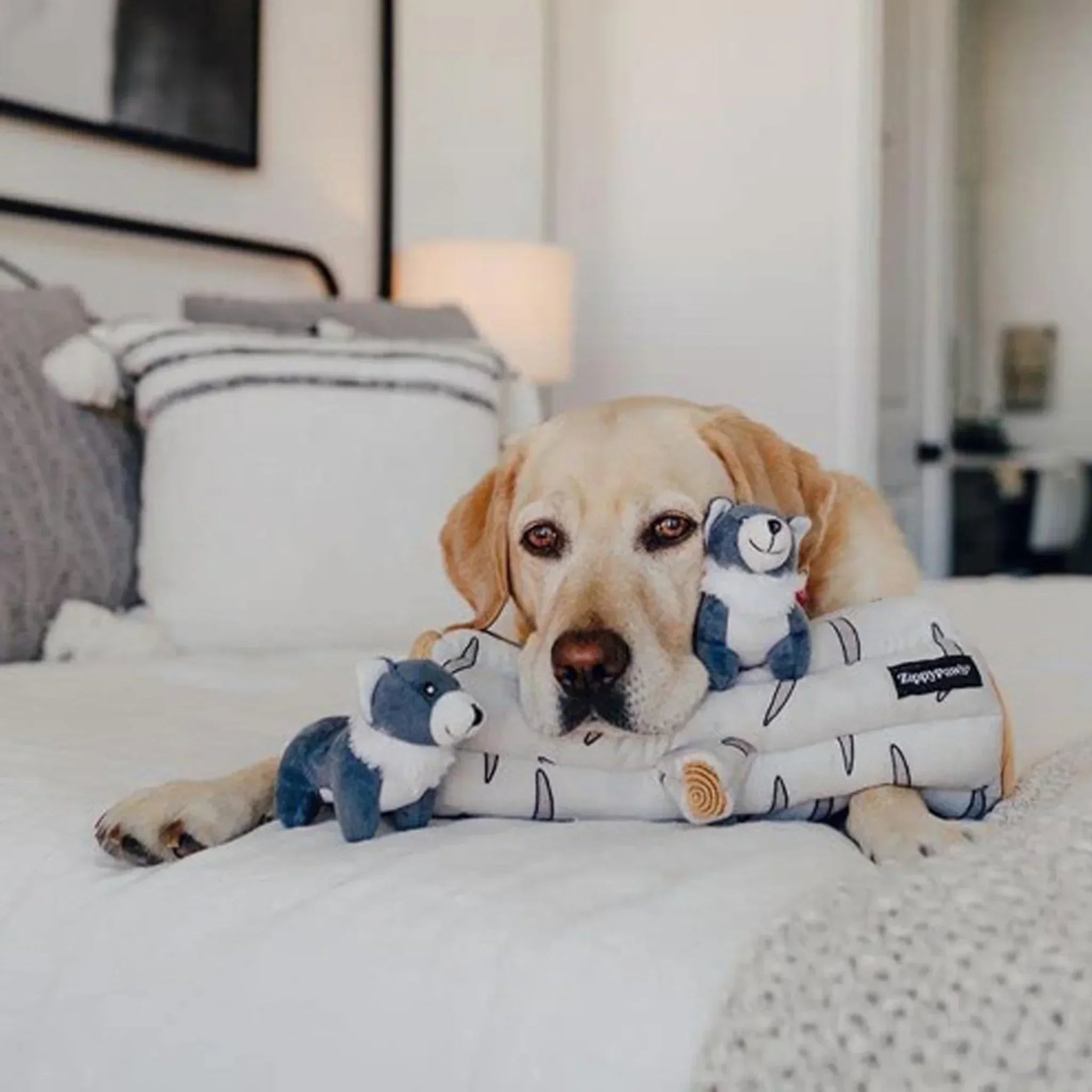 peluche de flair pour chien loup arctique