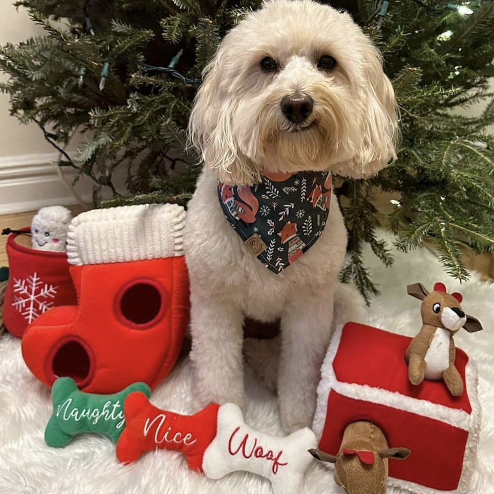 peluche de flair botte de noel naughty or nice pour chiens zippypaws