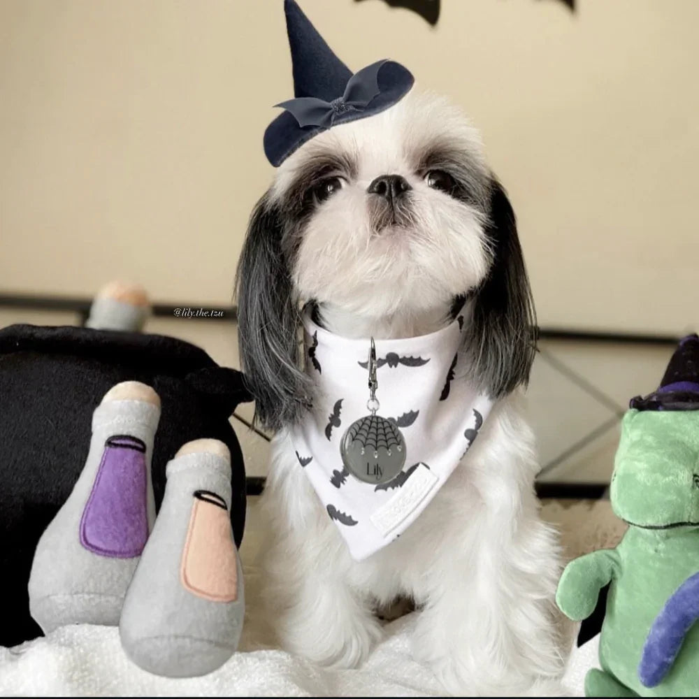 peluche de flair chaudron halloween pour chien