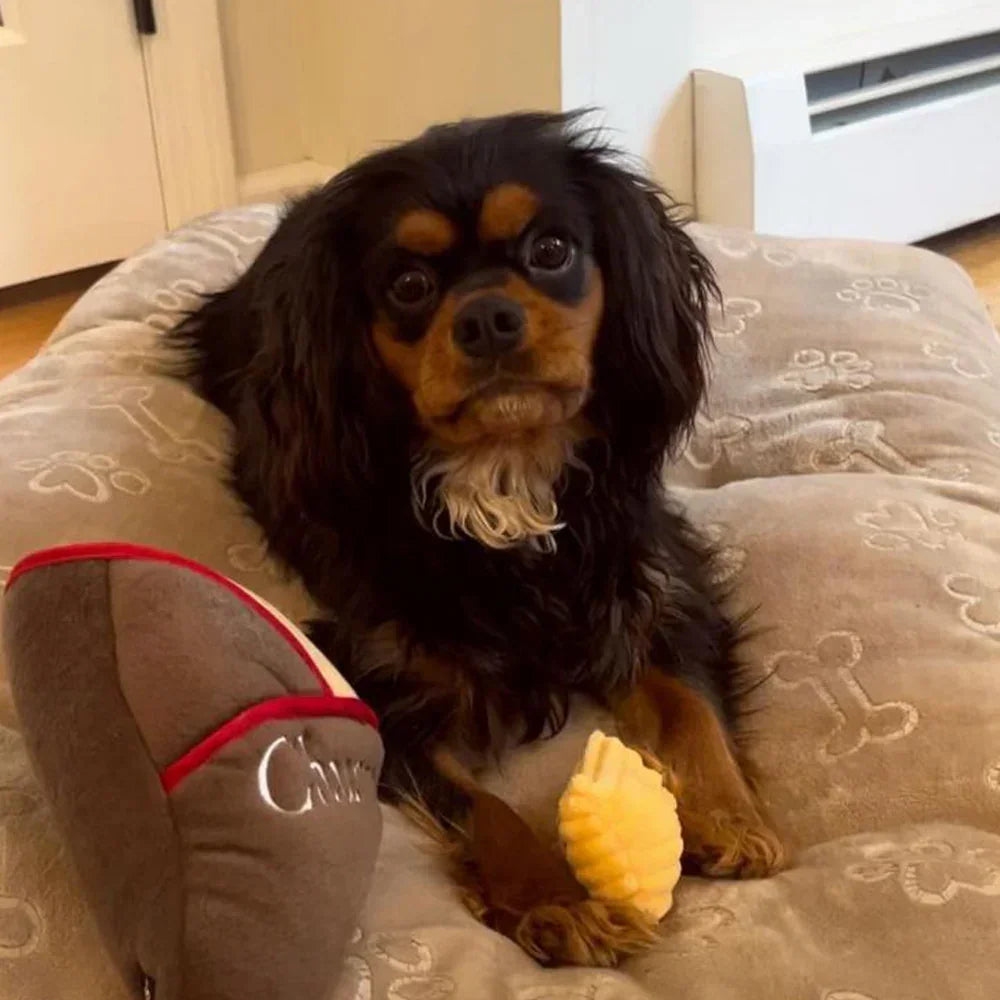 peluche de flair churros pour chien