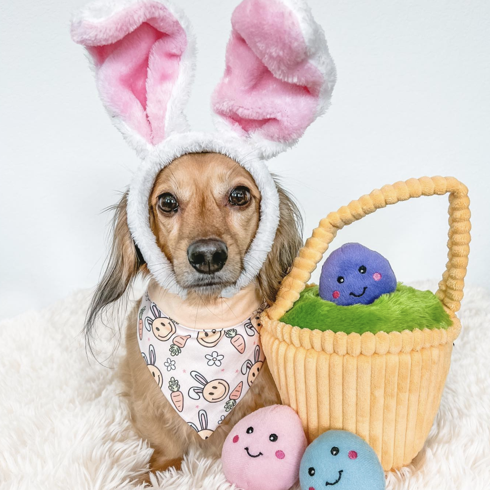 peluche de flair panier de paques zippypaws