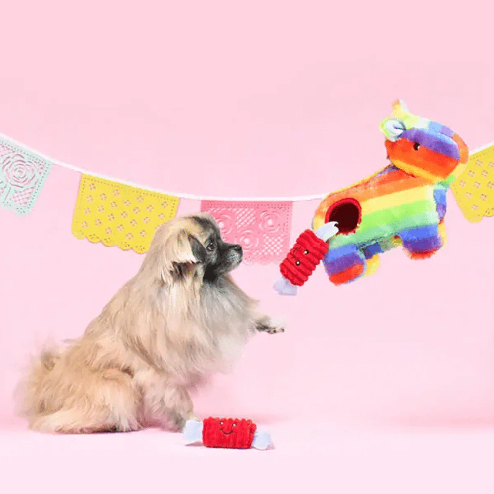 peluche de flair pour chien