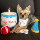 peluche de flair anniversaire happy birthday