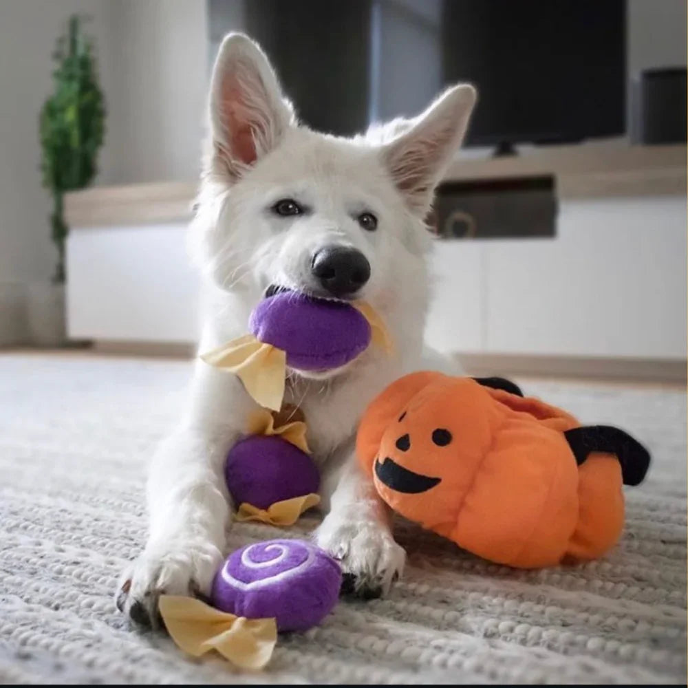 peluche de flair halloween zipypaws