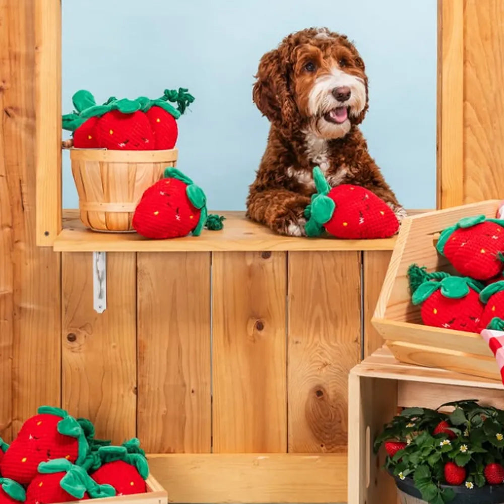 Photo peluche Crinkle Crops Fraise pour chien – ZippyPaws