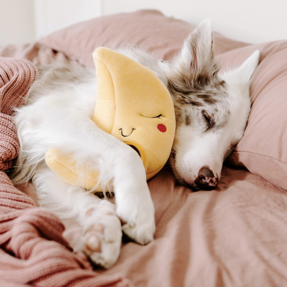 peluche pour flair lune et shiba