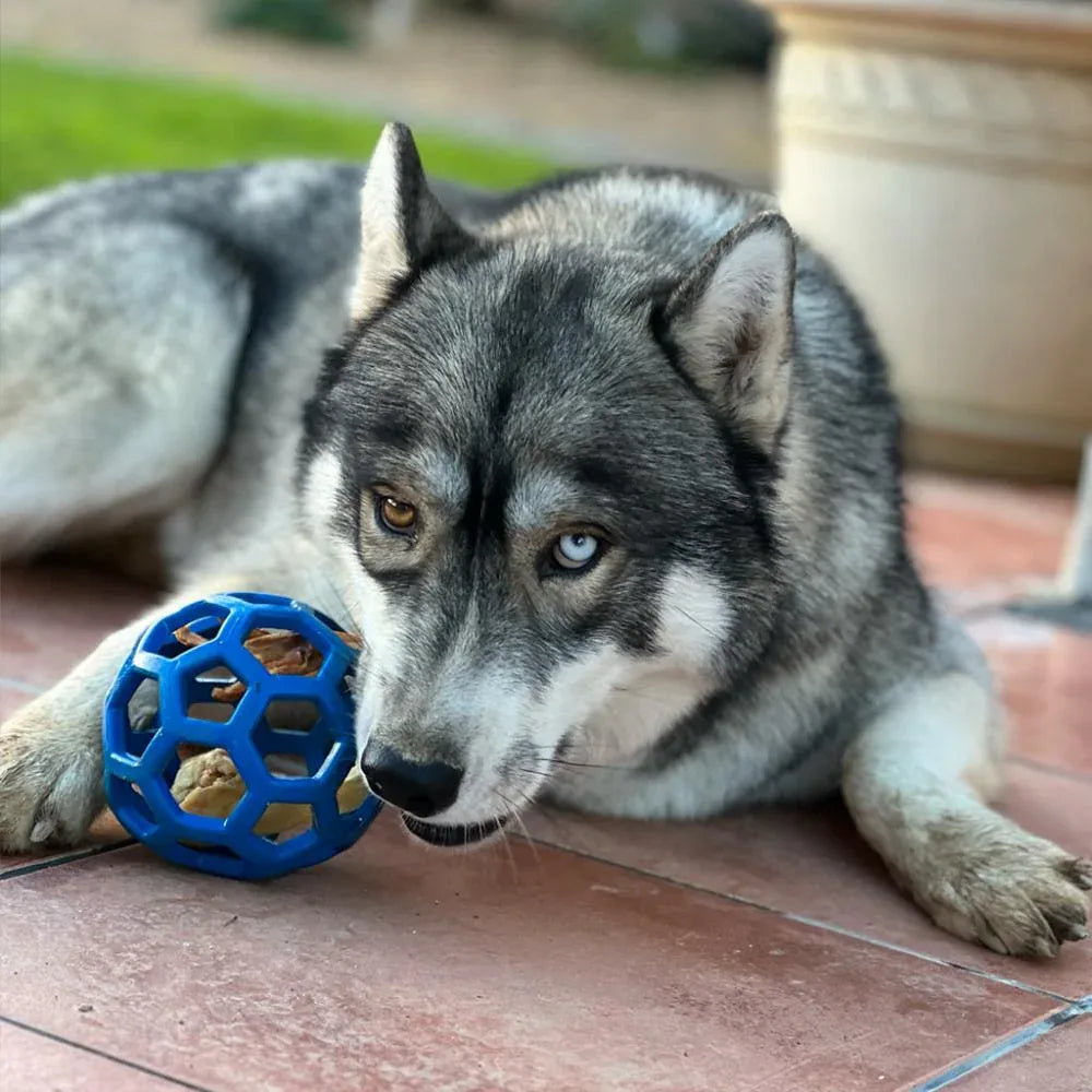 balle JW pour chiens