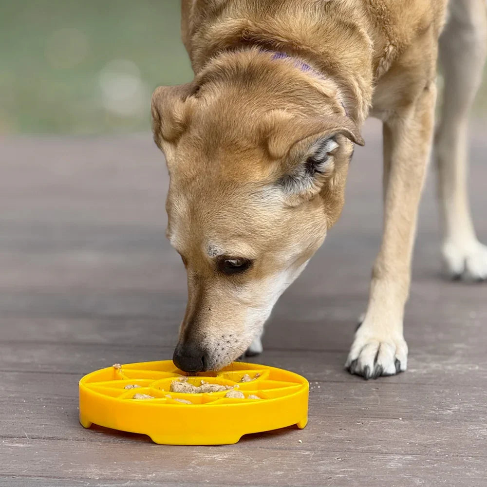 gamelle antiglouton pour chien sodapup etray sunflower