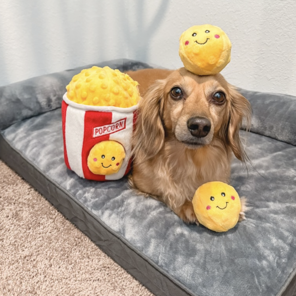 peluche de flair popcorn pour chien