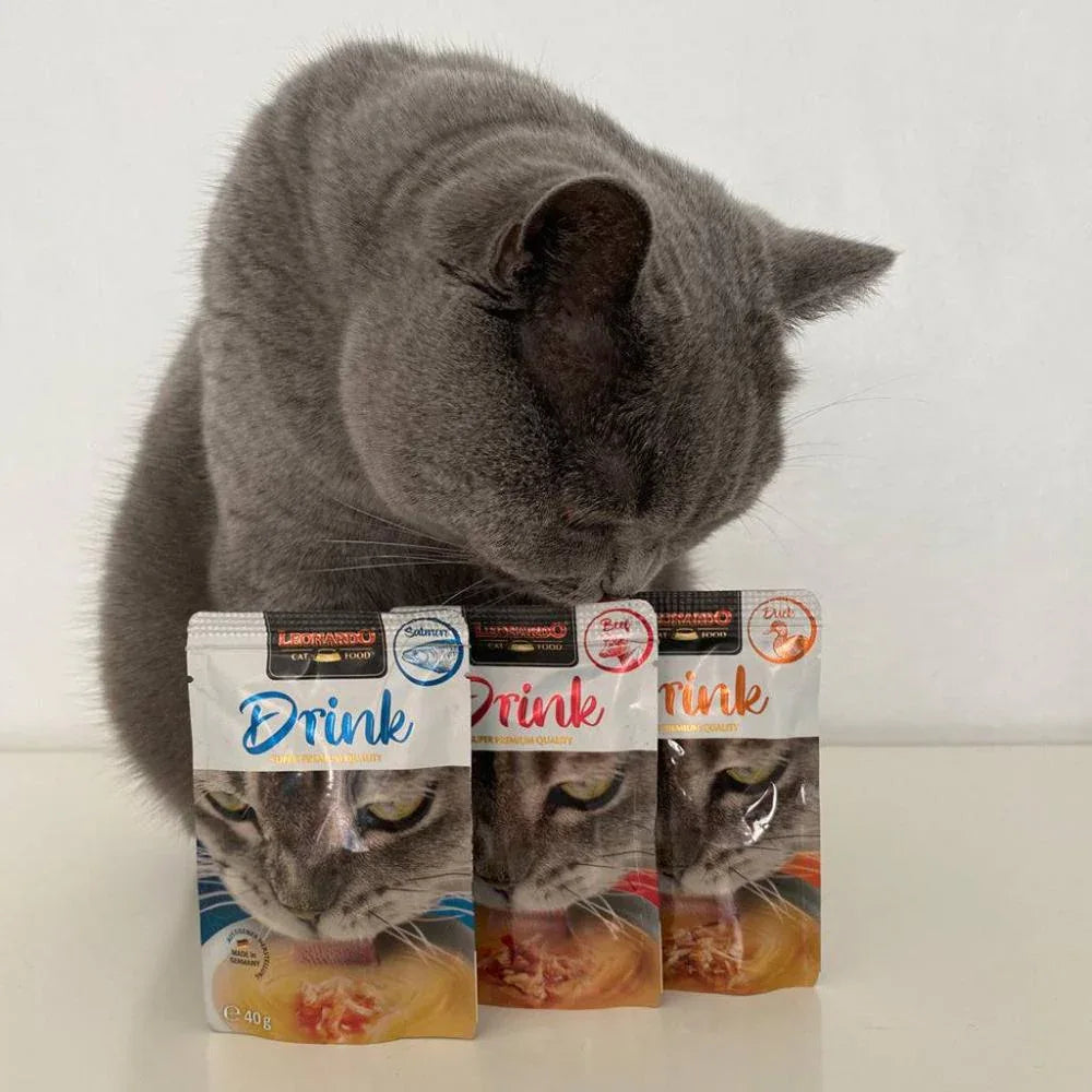 bouillon de viande drink leonardo