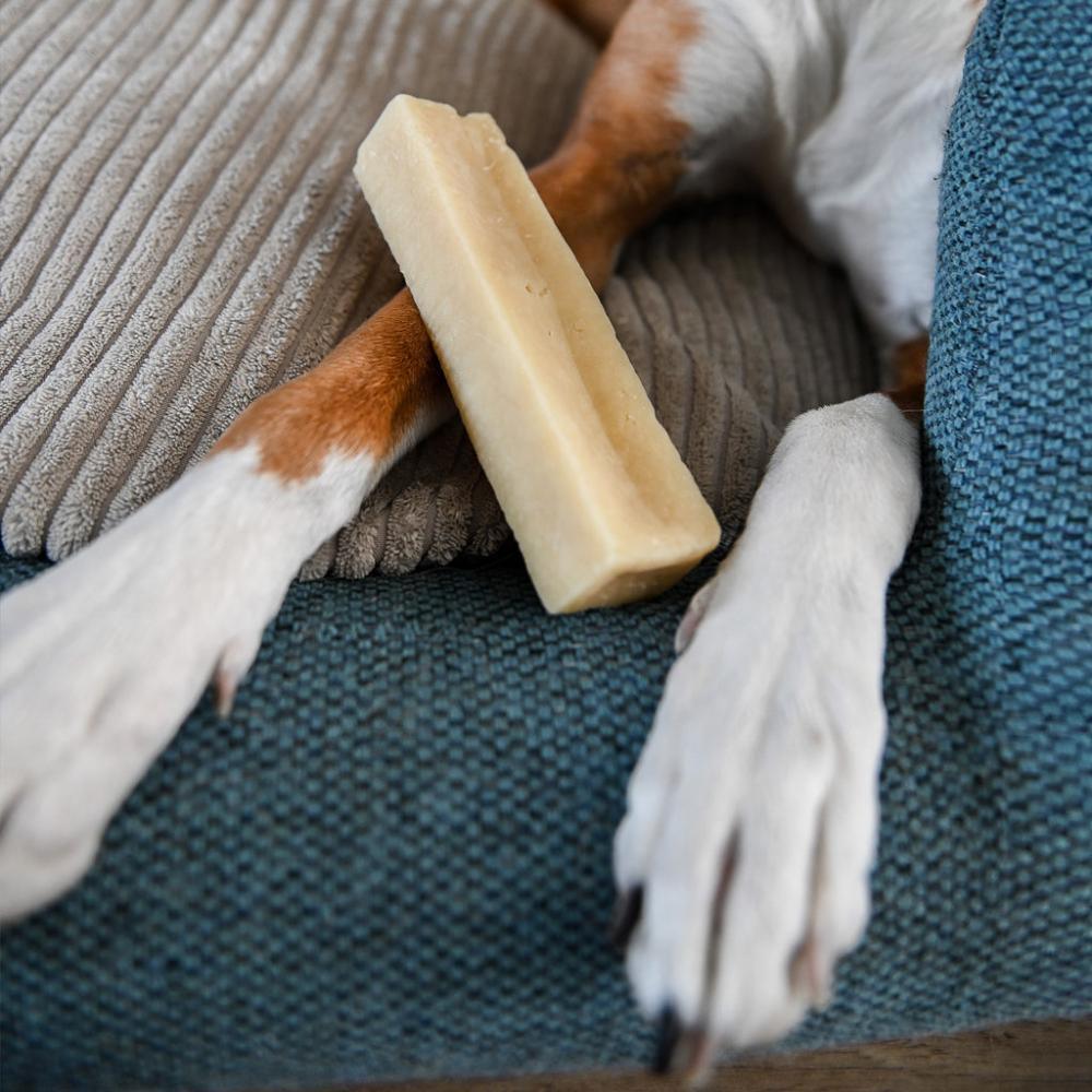 fromage de yak chien