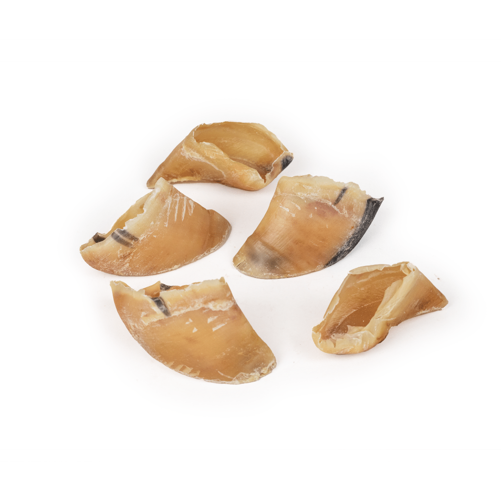 sabot de veau pour chiens