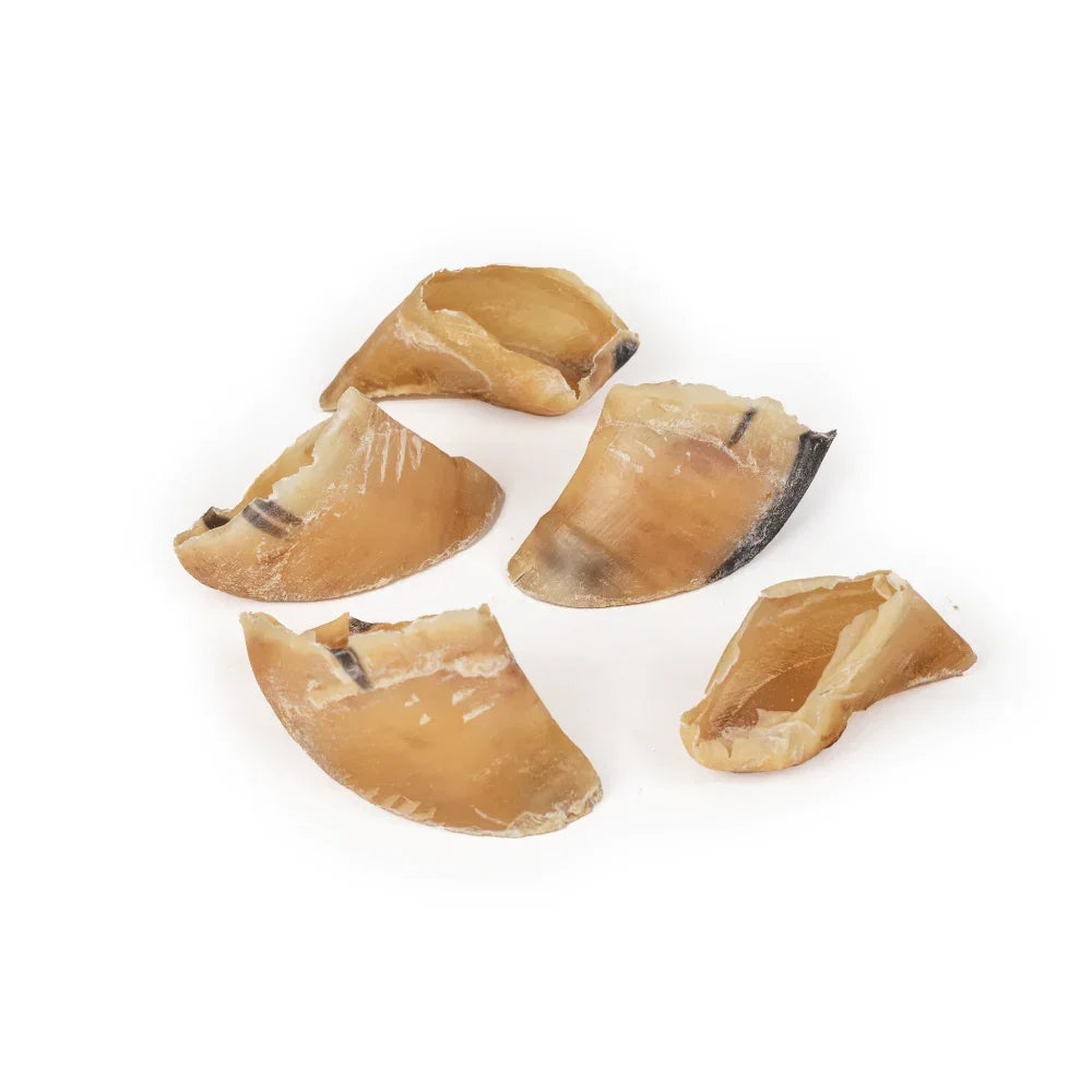 sabot de veau pour chiens