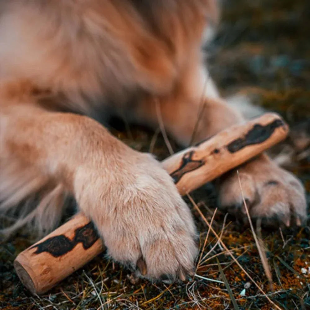 baton d'olivier pour chien