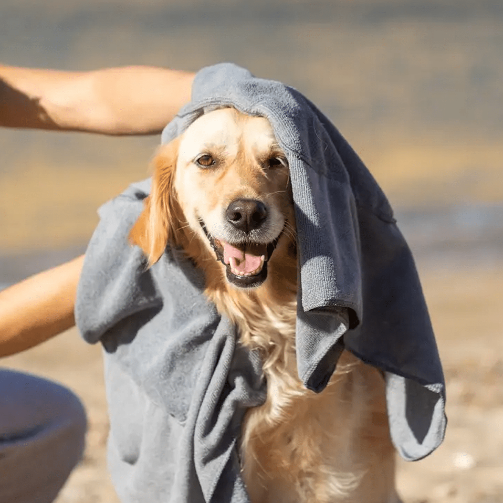 serviette pour chien