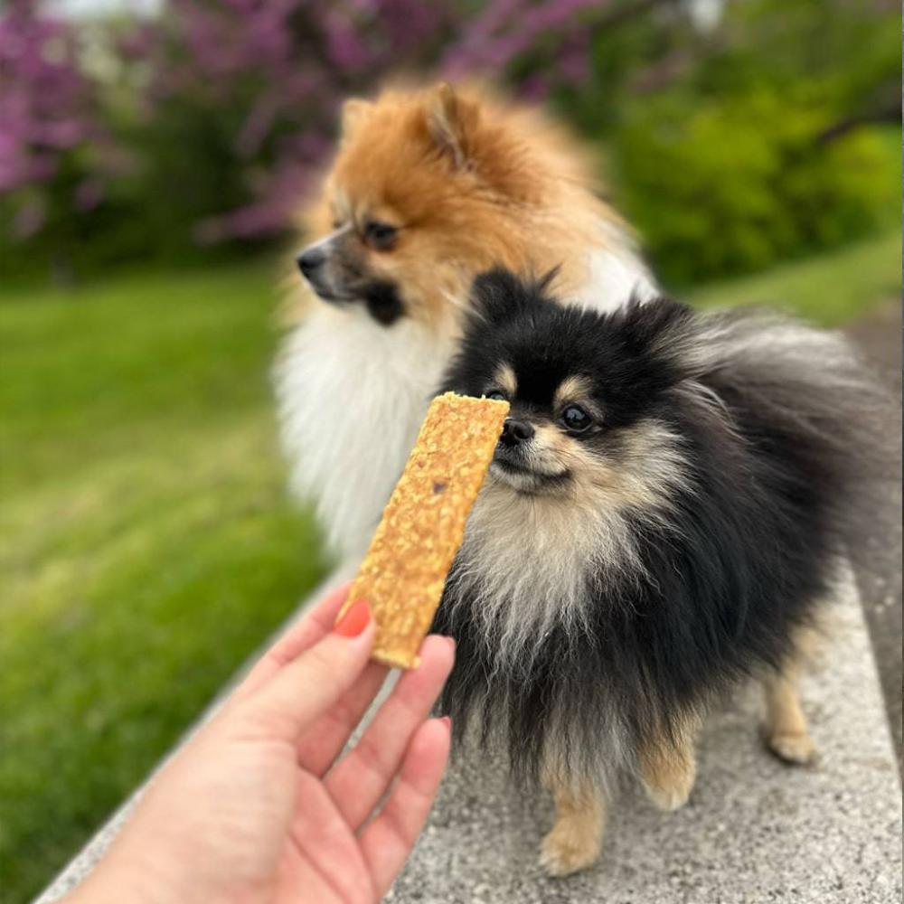 lamelle de viande chien