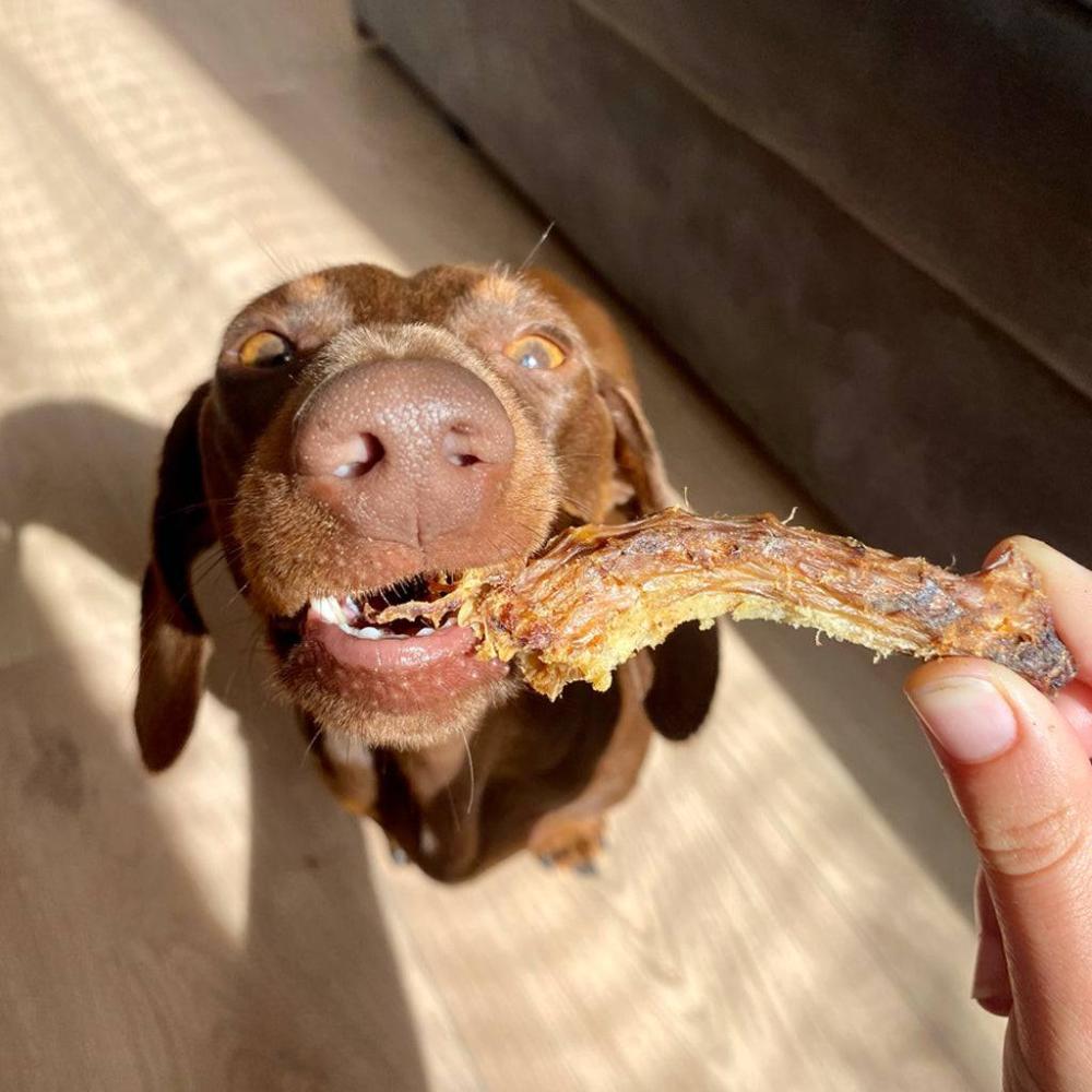 cou de poulet pour chiens