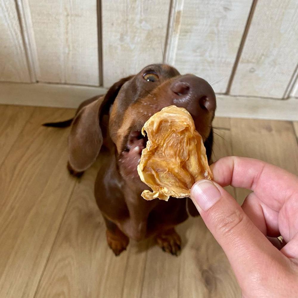 langue de cabillaud pour chien