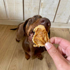 langue de cabillaud pour chien