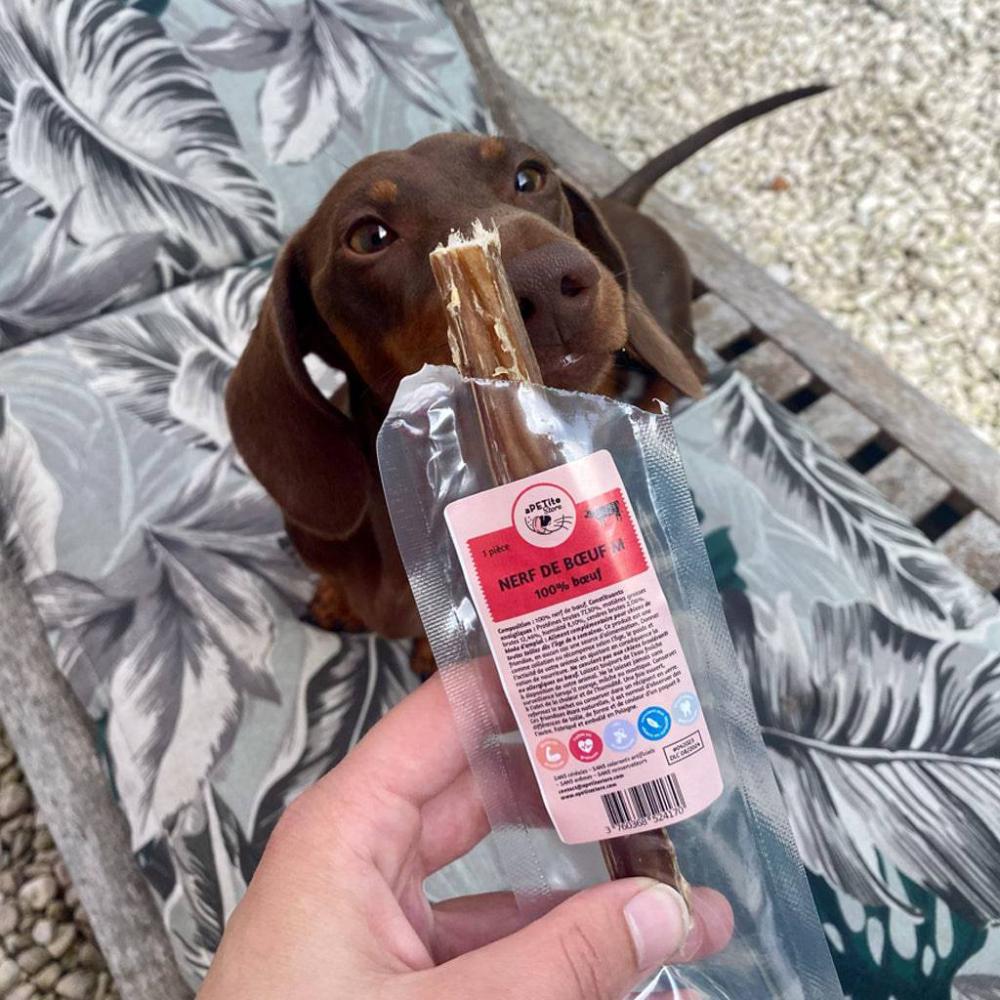 nerf de boeuf pour chien