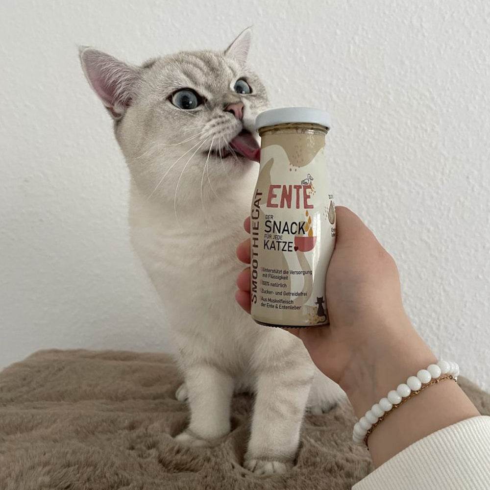 smoothie pour chat canard