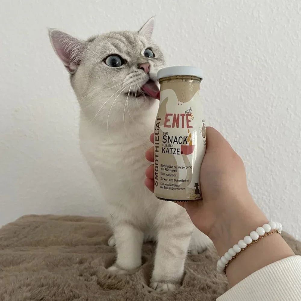 smoothie pour chat canard