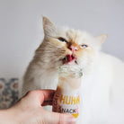 smoothie chat poulet