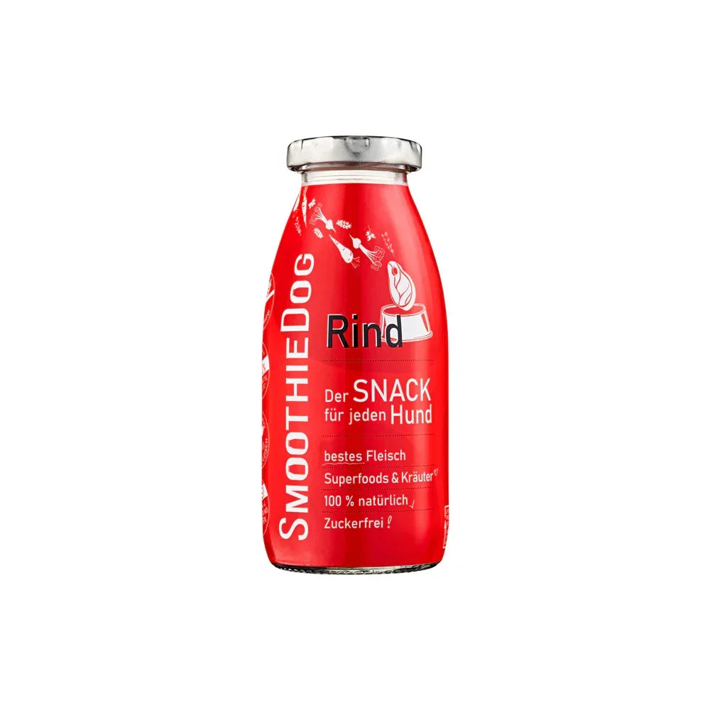 smoothie pour chien boeuf
