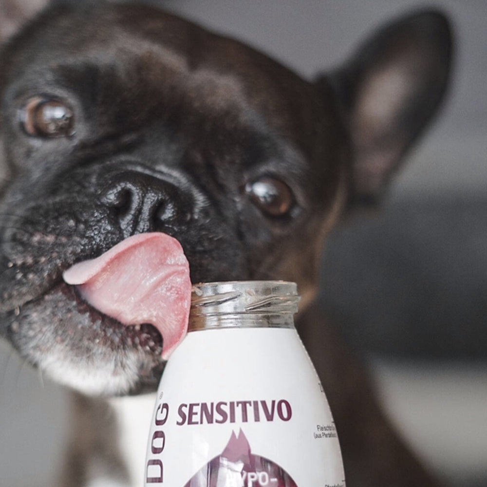 smoothie pour chien sensitivo cheval