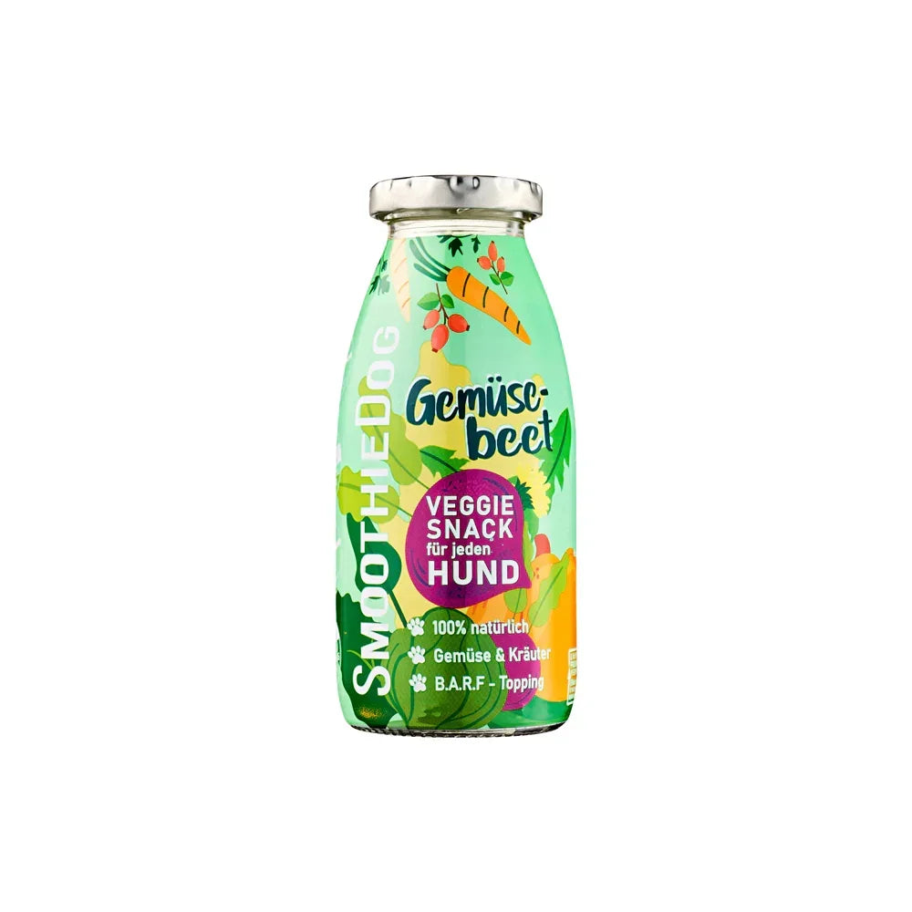 smoothie pour chien veggie