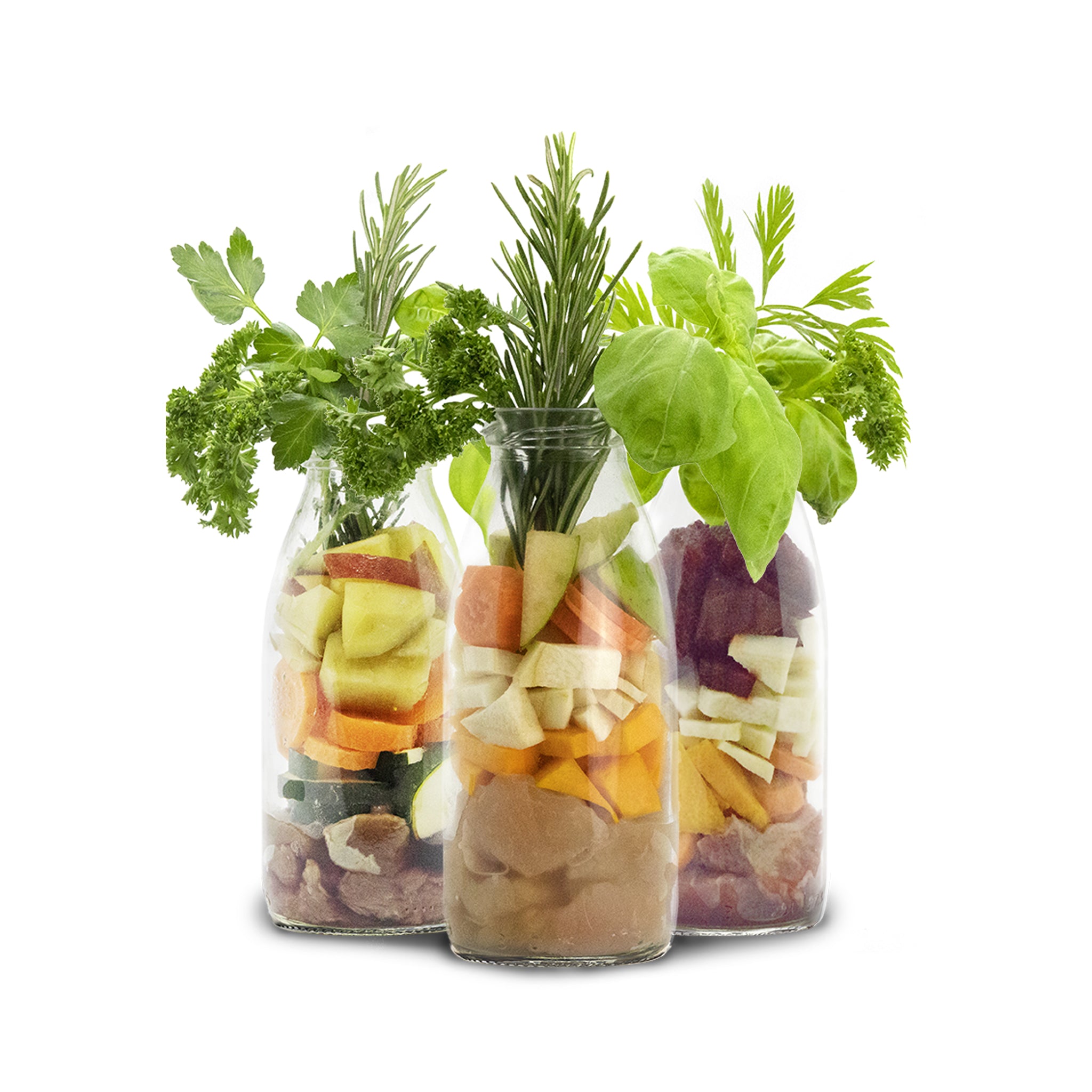 smoothiedog pour chien