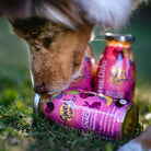 smoothie ete lapin
