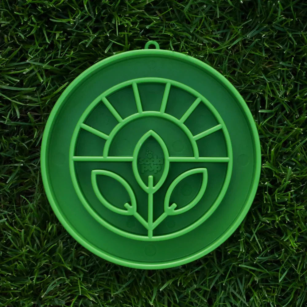 gamelle sodapup garden pour chien etray