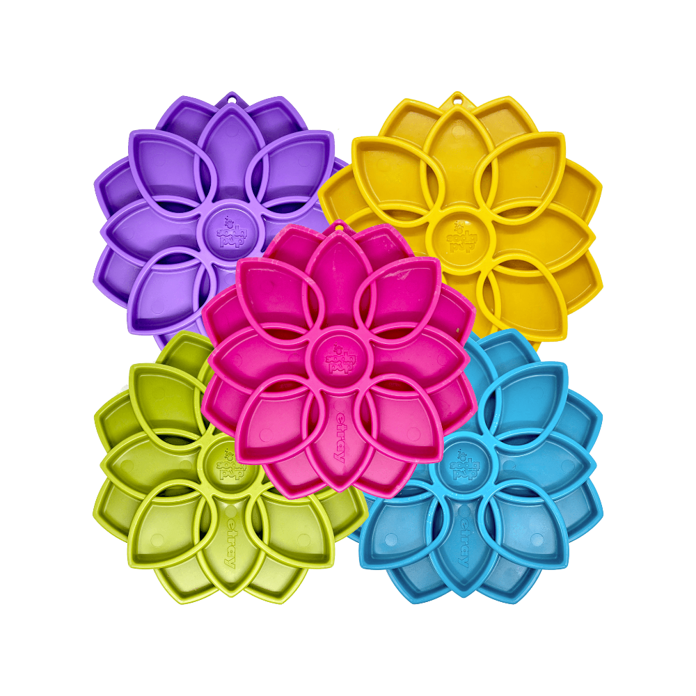 sodapup mandala collection