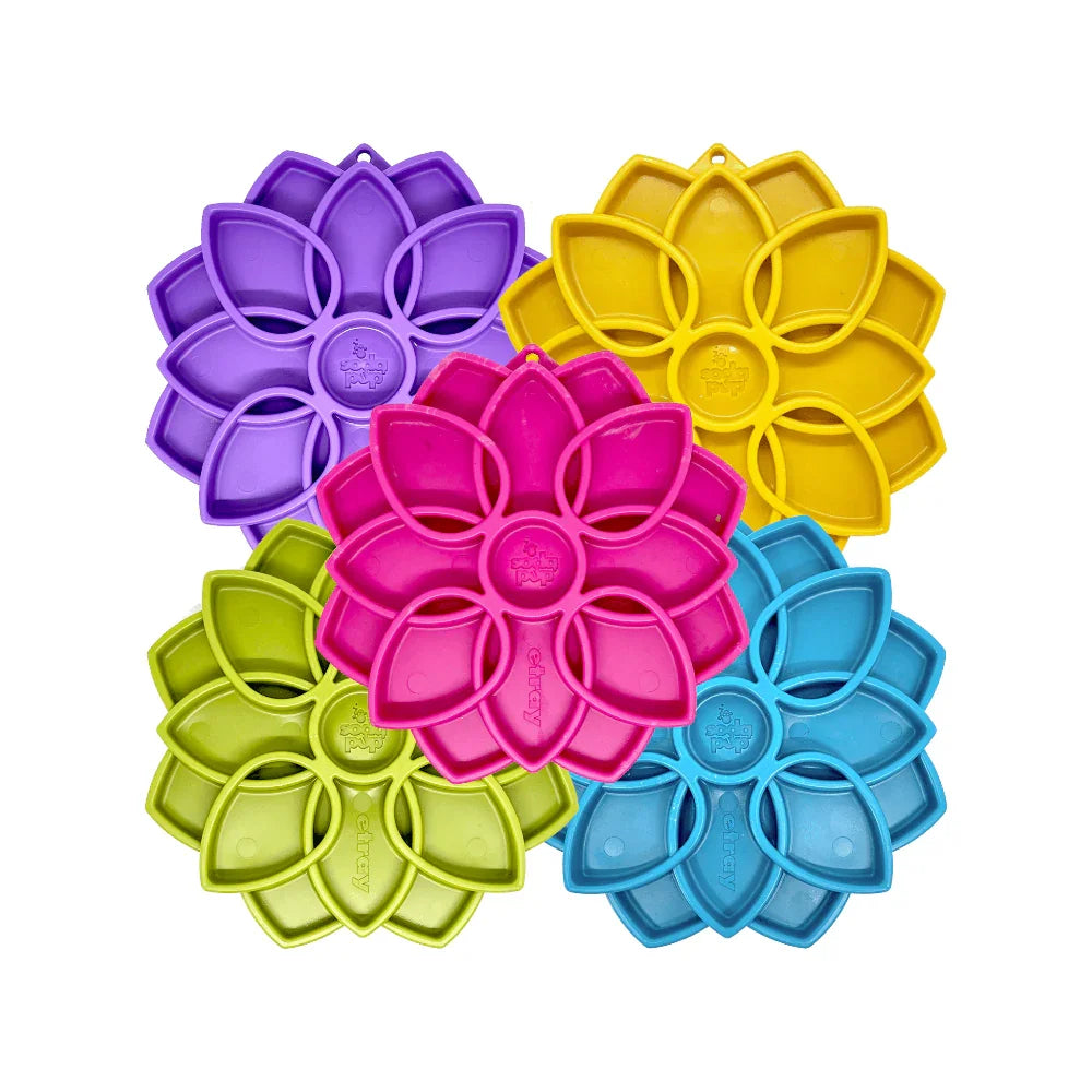 sodapup mandala collection