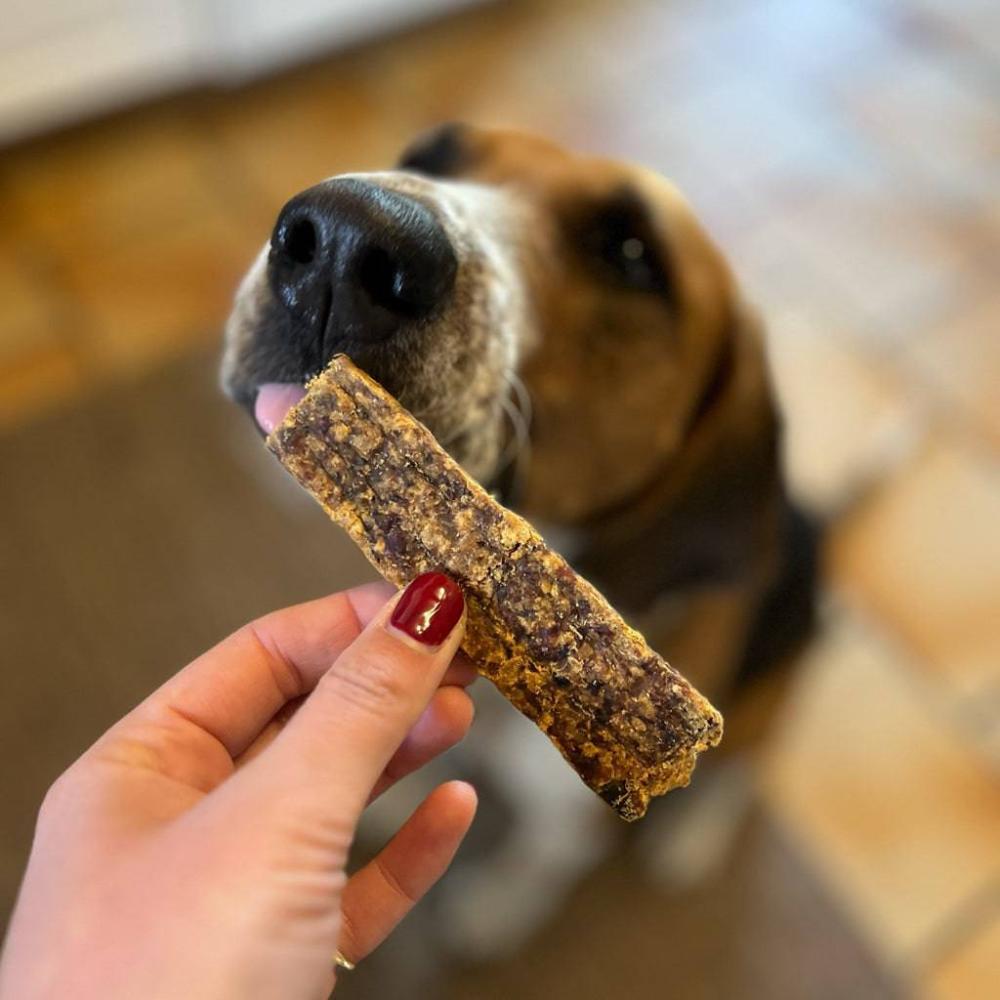 lamelle de viande pour chien