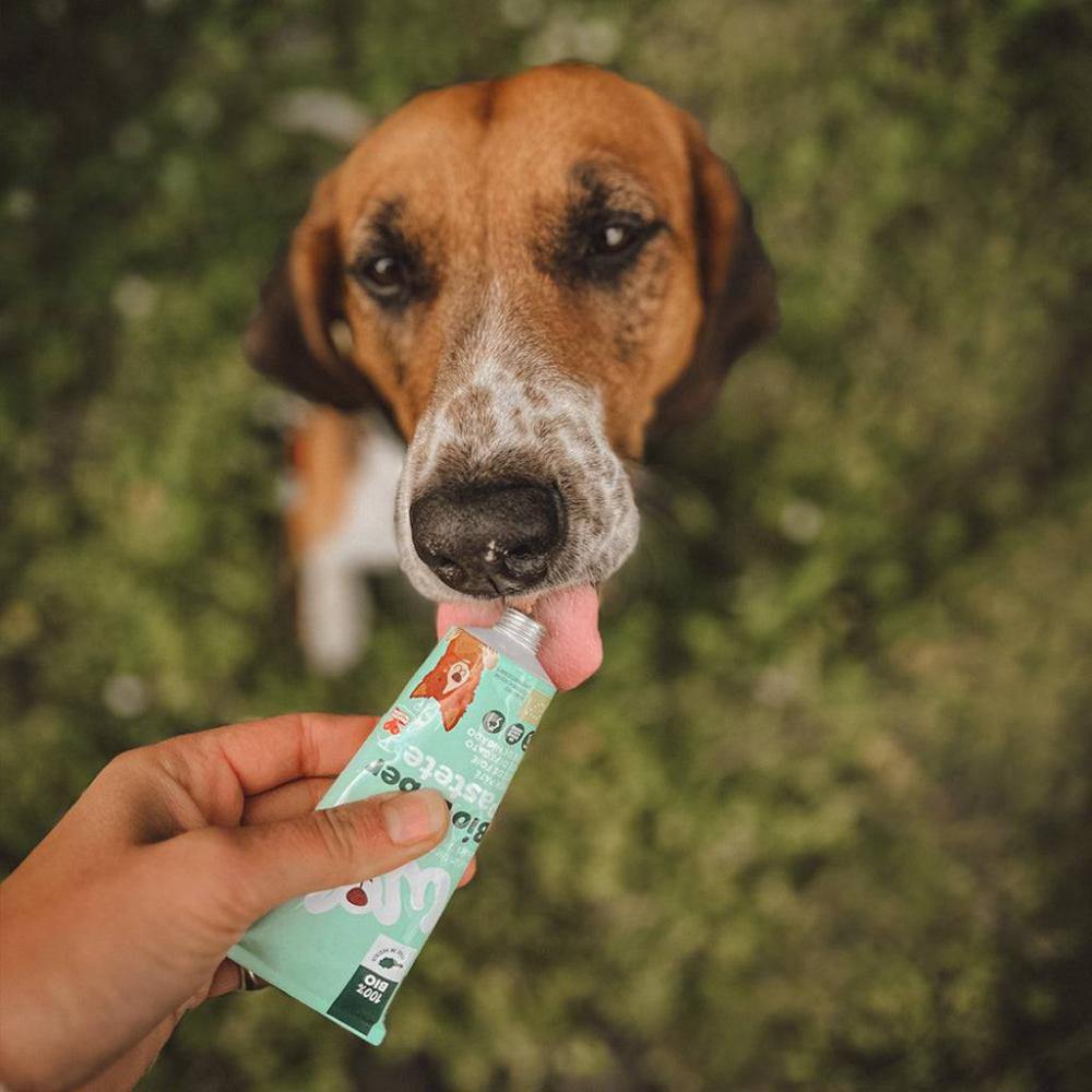 patee en tube pour chien
