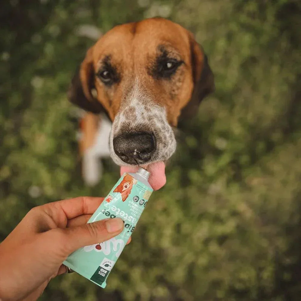 patee en tube pour chien