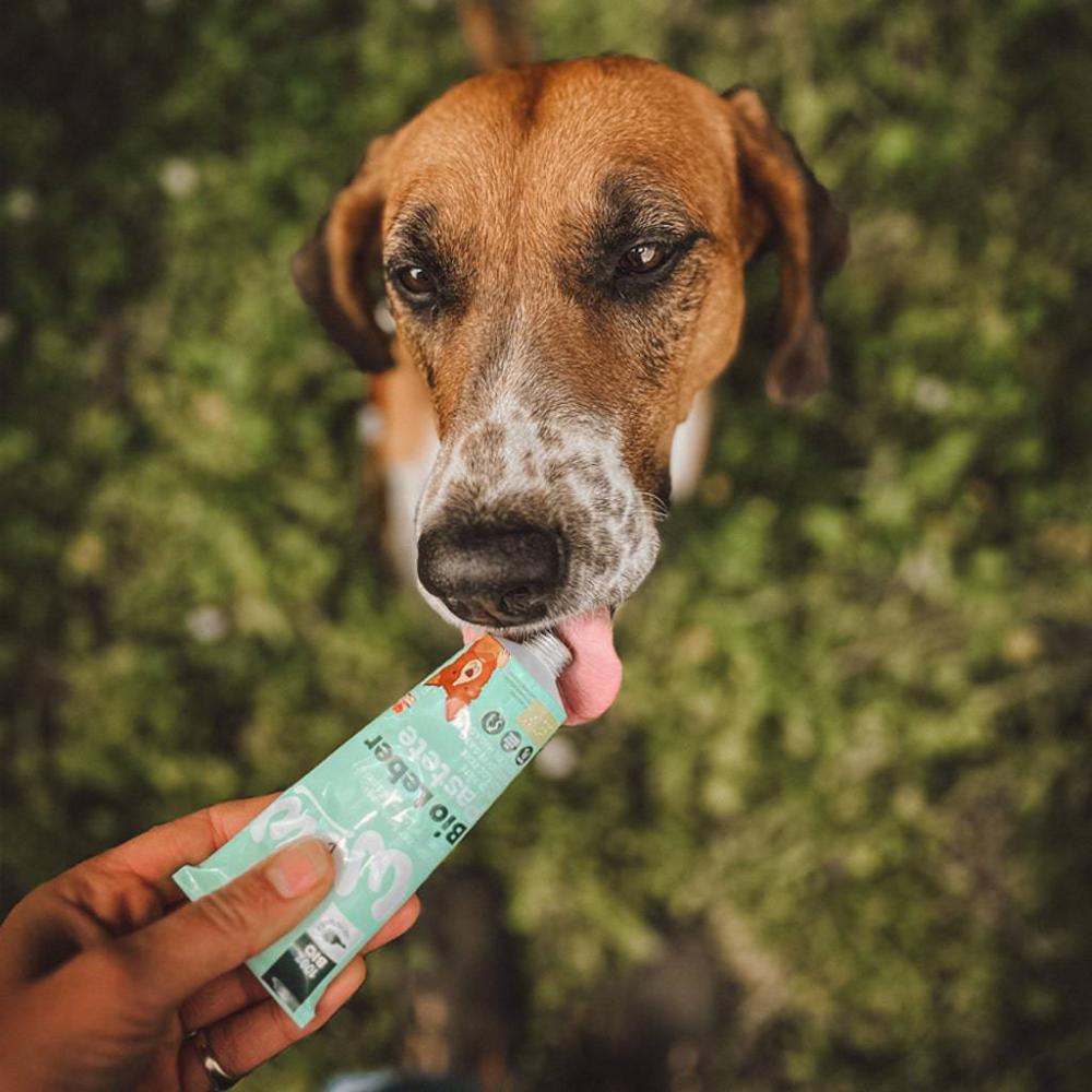 patee en tube pour chien